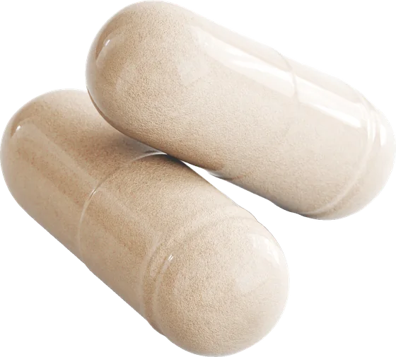Two Fullday capsules